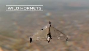 Rubin crew of 1020th Regiment shot down jet-powered Shahed with STING interceptors. VIDEO