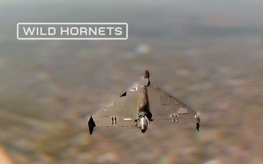 Екіпаж "Рубін" 1020-го полку збив реактивний "Шахед" перехоплювачами STING. ВIДЕО