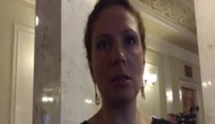 "Самолета у нас нет. Все расходы и прибыль указаны в декларации", - нардеп Левочкина рассказала о доходах семьи. ВИДЕО