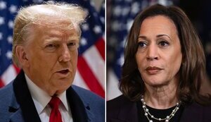 Попередні результати виборів у США: Трамп набирає 277 голосів і здобуває перемогу (оновлено)