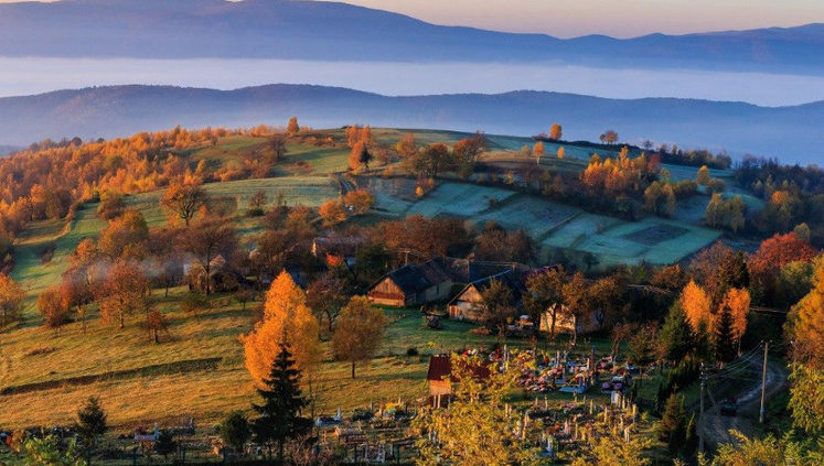 Кабмин утвердил модельные уставы для сельскохозяйственных кооперативов