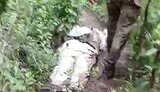 тіла окупантів вздовж Оскола