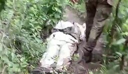 тіла окупантів вздовж Оскола