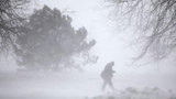 Снегопады, метели, гололедица и морозы до -20°С: в ГСЧС предупредили об ухудшении погоды в Украине