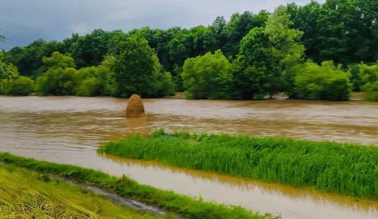 Паводки на Західній Україні пов'язані не з вирубкою лісу, а з надмірними опадами, - Держлісагентство