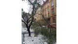 львів,ожеледиця