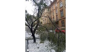 Проблемы с электричеством из-за непогоды на западе страны не являются критическими, - "Укрэнерго"