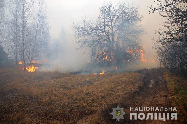 Полиция расследует причины масштабных пожаров на Житомирщине: уничтожены тысячи гектаров леса и десятки домов 03
