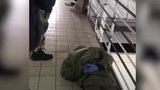 "Лежать! Руки за спину!": МВД показало задержание КОРДом подозреваемых в стрельбе в Броварах. ВИДЕО