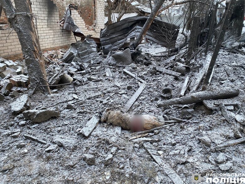 Наслідки ракетної атаки РФ на Чернігів: уламками пошкоджено будинки, від вибуху загинув собака 04