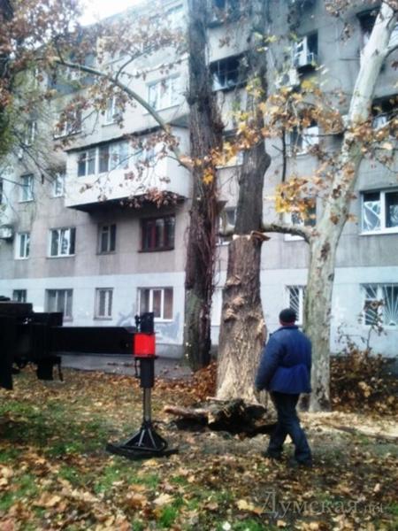 Цензор.НЕТ Изображение