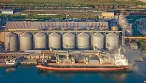 Из-за падения мировых цен экспорт украинской агропродукции в 2015 году снизился на 12,6%