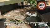 драка ресторан