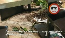 драка ресторан