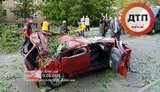 дети дтп дерево