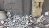 Национальный художественный музей Украины закрыт для посетителей из-за обвала части портика, - Ткаченко. ФОТО