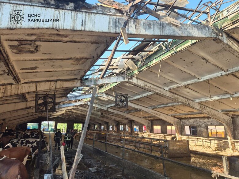 Окупанти обстріляли село Глушківка на Харківщині
