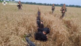 затримання ухилянтів біля кордону