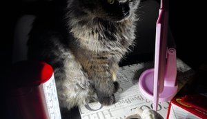 Чому шахедів прилітає менше - але наслідки все більш катастрофічні?