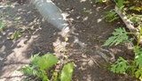 Бійці ДСНС знайшли 120-мм міну біля КПВВ "Майорське": пропуск призупинено. ФОТОрепортаж
