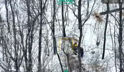 На Одещині викрили схему незаконної вирубки лісу за участі посадовців.