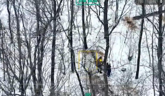 На Одещині викрили схему незаконної вирубки лісу за участі посадовців.
