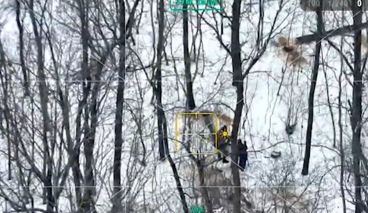 State Bureau of Investigation has uncovered scheme of illegal logging in forestry enterprises of Odesa region. VIDEO