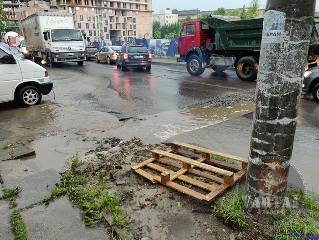 Жінка загинула через негоду у Львові 10