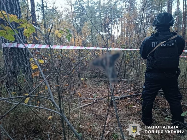 РФ атакувала Київщину шахедами: що відомо про наслідки?