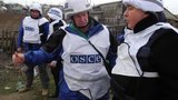 обсе,лайчак