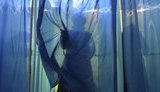 Держреєстр виборців оновлюється щомісяця, інформація про те, що в ньому стало на 1 млн виборців більше, - брехня, - Стельмах