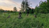 рдк