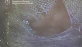 Антидронова сітка врятувала муніципальний автобус від удару FPV-дрона у Запоріжжі. ФОТОрепортаж