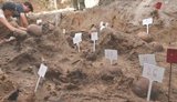 Эксгумационные работы завершились в Воле-Островецкой на Волыни: обнаружены останки 48 человек
