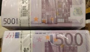 State Management of Affairs ex-head indicted for seizing Mezhyhiria: 1M euro found during search at his place - Lutsenko. PHOTO