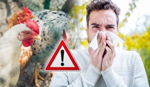 Першу смерть від пташиного грипу H5N5 зафіксували у США