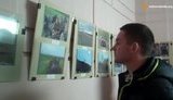 выставка андрейченко