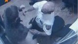 Шокирующие кадры расстрела охранников "Каравана". ВИДЕО