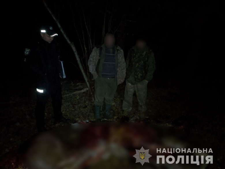 Схватился за сердце и упал: подозреваемый в убийстве лося браконьер умер при попытке побега от лесничих 02