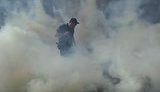 вр митинг стычки дым дымовая шашка дымовуха дымовухи