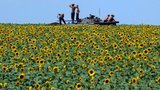 армия военные солдаты военнослужащие ато