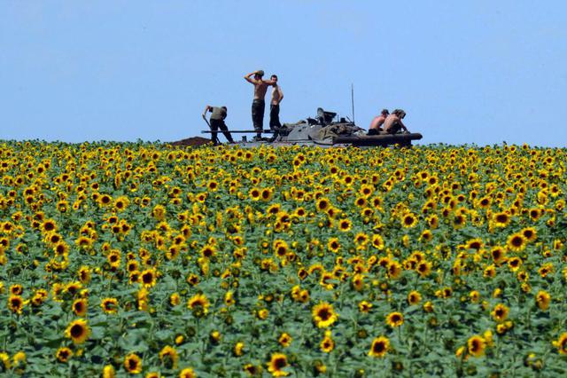 армия военные солдаты военнослужащие ато