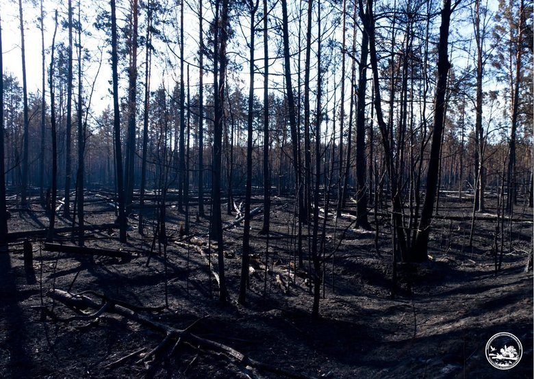 У Чорнобильській зоні локалізували всі осередки пожеж
