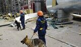 полтавщина