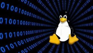 Російських програмістів відсторонили від розробки ядра Linux