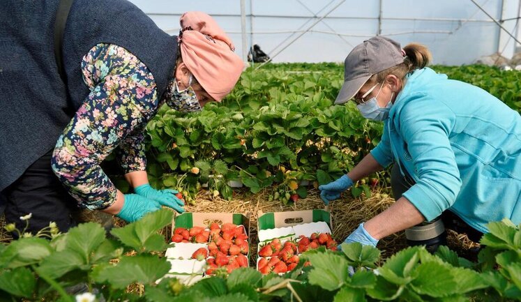 К 2030 году из Украины на заработки может выехать 3 млн трудоспособного населения, - Институт демографии