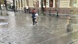 львів