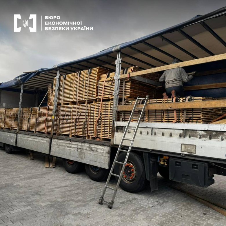 БЕБ ліквідувало багаторічну схему тіньового експорту деревини