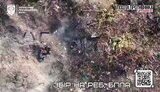 ліквідація окупантів