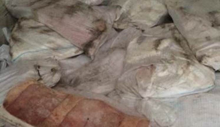 СБУ пресекла контрабанду 20 тонн сала в Россию на Харьковщине